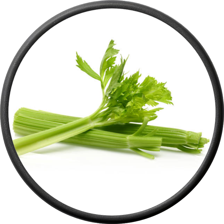 Fresh Celery